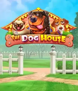 Experience Pragmatic Play's The Dog House Slot, offering a fun-filled adventure among lovable dogs. Enjoy features including sticky wilds, aimed at delivering joyful moments. A must-try for those who enjoy an amusing atmosphere alongside lucrative rewards.