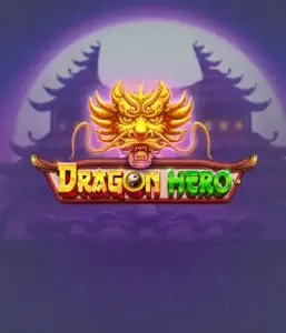 Enter a legendary quest with Dragon Hero by Pragmatic Play, showcasing stunning graphics of mighty dragons and epic encounters. Venture into a realm where magic meets excitement, with symbols like enchanted weapons, mystical creatures, and treasures for a mesmerizing adventure.